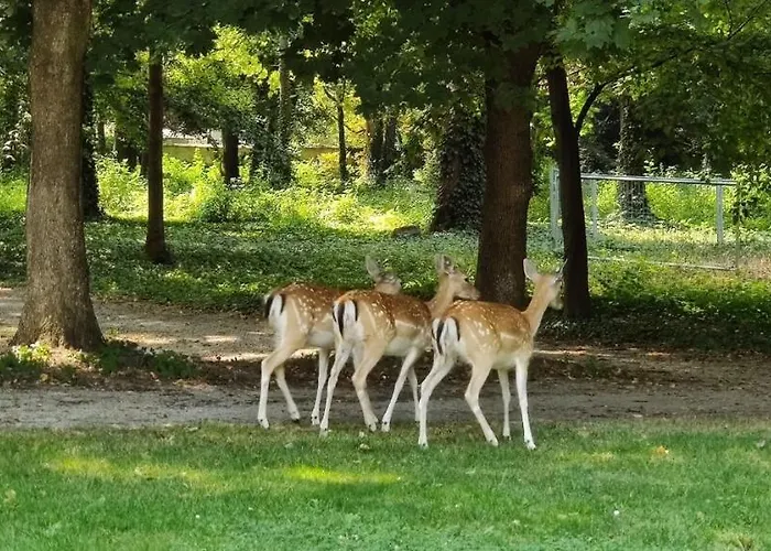 Gartenhotel Altmannsdorf 4*